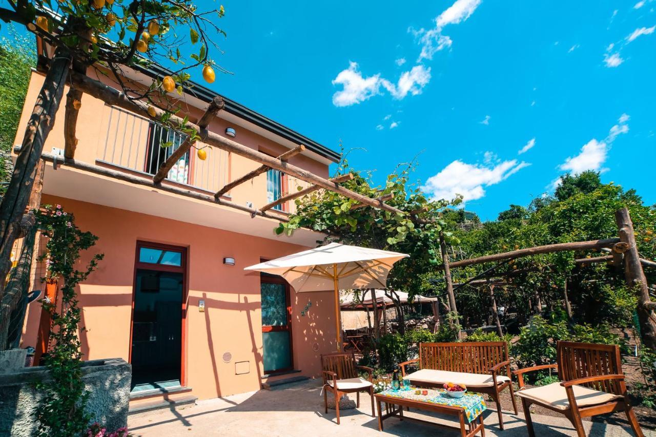 Poggio Angelarosa: Lemon Garden Stay&Relax Scala Eksteriør billede