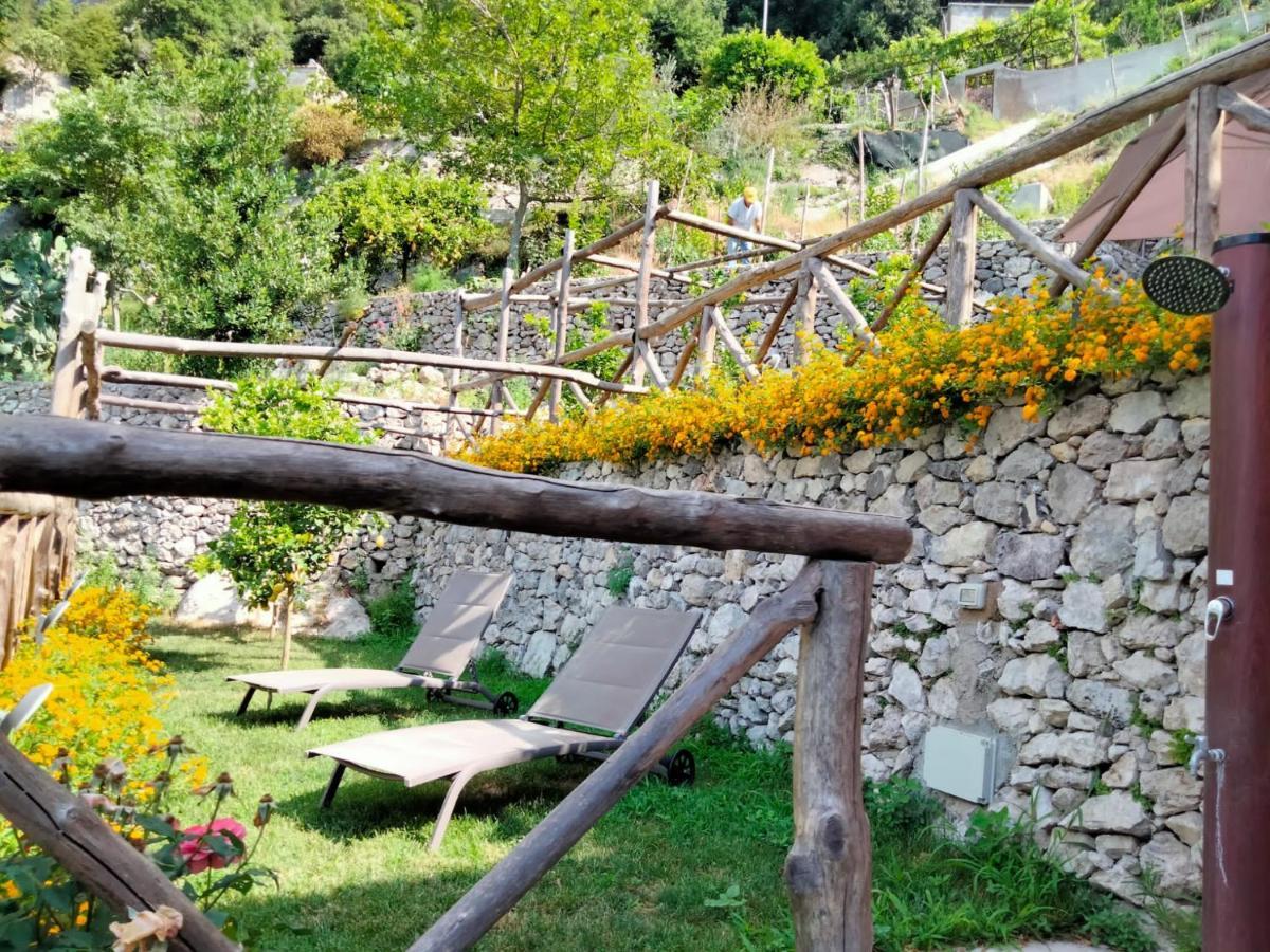 Poggio Angelarosa: Lemon Garden Stay&Relax Scala Eksteriør billede