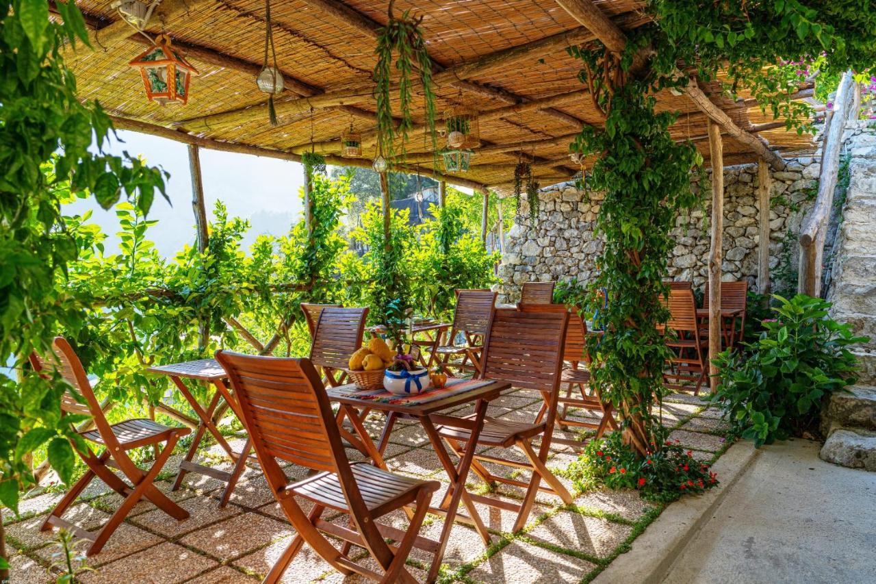 Poggio Angelarosa: Lemon Garden Stay&Relax Scala Eksteriør billede