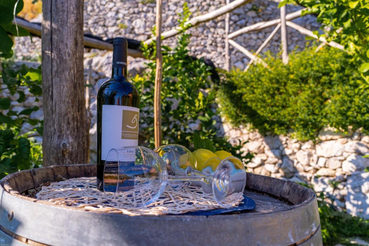 Poggio Angelarosa: Lemon Garden Stay&Relax Scala Eksteriør billede
