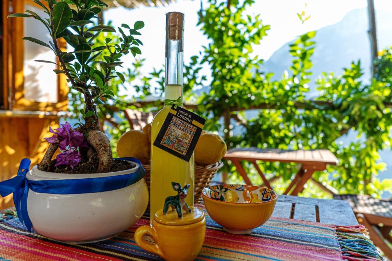 Poggio Angelarosa: Lemon Garden Stay&Relax Scala Eksteriør billede